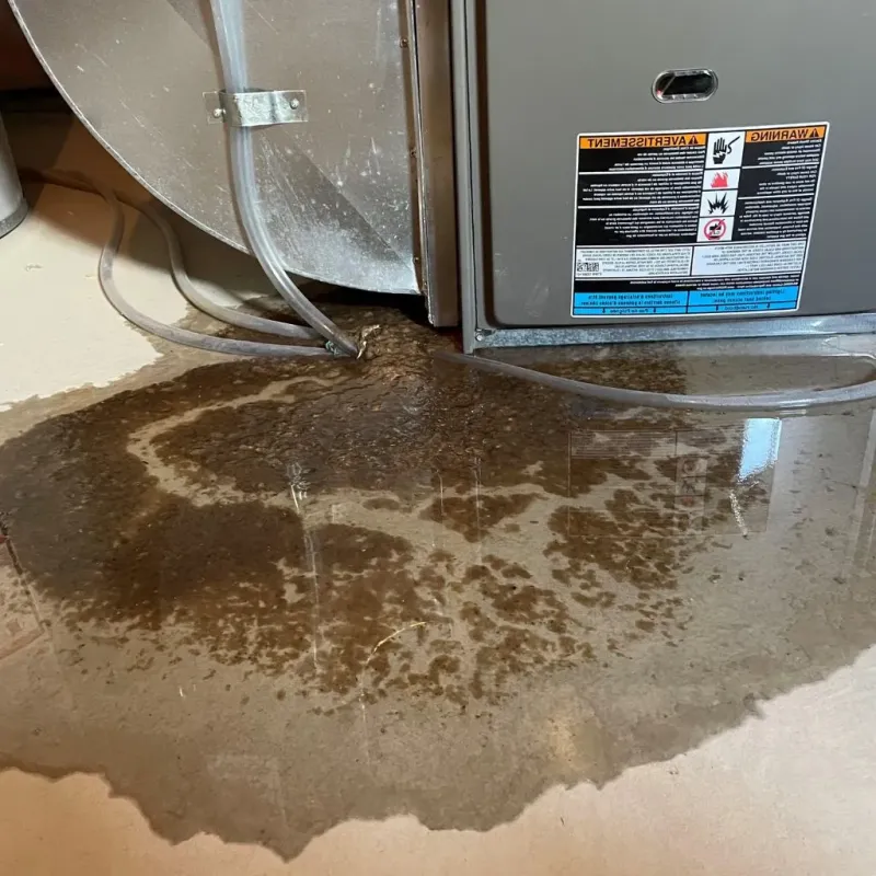 Pipe Burst and Leak Restoration in Stone County, MO